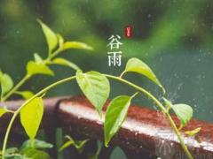 2019年女孩谷雨出生五行缺金如何起名？宜用什么字？