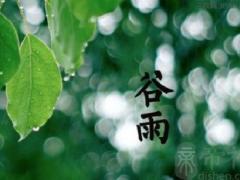 2019年谷雨出生男孩五行缺金如何起名？用什么字合适？